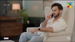 Meri Tanhai - Episode 17 - 28th April 2025